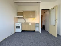 Prodej bytu 1+1, Louny, Březinova, 36 m2