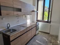 Pronájem bytu 1+1, Děčín, Horská, 39 m2