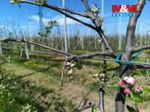 Prodej pole, Synkov-Slemeno - Slemeno, 8946 m2