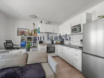 Prodej bytu 2+kk, Brno, Vranovská, 40 m2