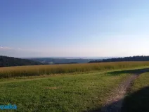 Prodej louky, Výprachtice, 867 m2