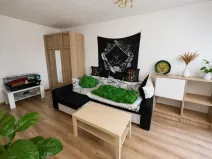 Prodej bytu 1+1, Most, K. J. Erbena, 35 m2