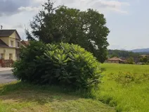 Prodej pozemku pro bydlení, Zabrušany, 5682 m2