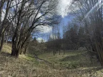 Prodej louky, Výprachtice, 9974 m2