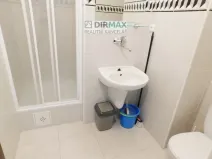 Pronájem atypického bytu, Plzeň - Valcha, Dobřanská, 29 m2