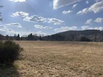 Prodej louky, Cvikov, 35271 m2