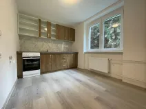 Pronájem bytu 1+1, Litvínov - Chudeřín, Horská, 42 m2