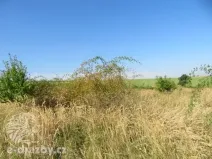 Dražba zahrady, Grunta, 927 m2