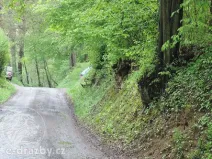 Dražba pozemku, Medonosy, 15430 m2