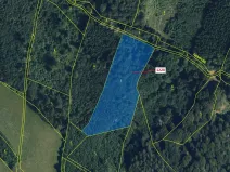 Dražba lesa, Horní Studénky, 10403 m2