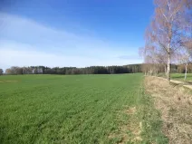 Dražba louky, Okrouhlá Radouň, 17482 m2