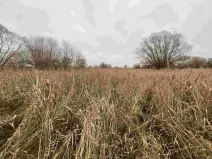 Prodej pozemku, Křenovice, 4103 m2