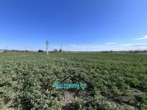 Prodej pozemku, Hulín, 61843 m2