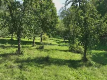 Prodej sadu/vinice, Vojkovice - Jakubov, 199287 m2