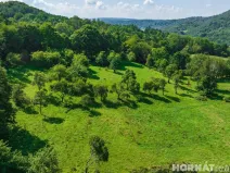 Prodej louky, Vojkovice - Jakubov, 199287 m2
