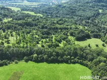 Prodej louky, Vojkovice - Jakubov, 199287 m2