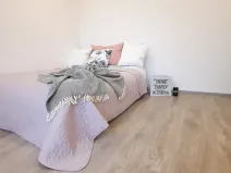 Pronájem bytu 1+1, Brno, Fričova, 46 m2