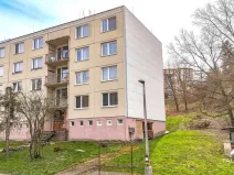 Prodej bytu 3+1, Plasy, Potoční, 74 m2
