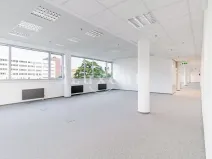 Pronájem kanceláře, Praha - Holešovice, Jankovcova, 291 m2