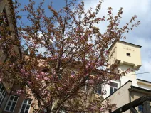 Pronájem ordinace, Hradec Králové, Pospíšilova, 49 m2