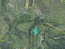 Prodej pole, Slavošov, 6916 m2