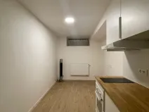 Prodej bytu 1+kk, Praha - Nusle, Pod vilami, 20 m2