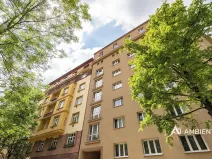 Prodej bytu 1+1, Brno, Čápkova, 54 m2