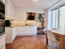 Pronájem bytu 1+1, Brno, Tučkova, 44 m2