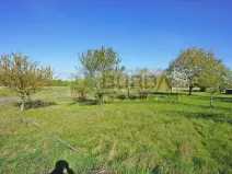 Prodej zahrady, Mělník, 9817 m2