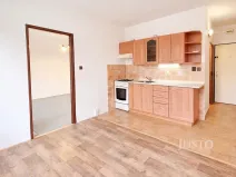 Prodej bytu 1+1, Písek, třída Přátelství, 38 m2