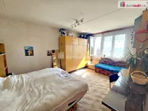 Prodej bytu 2+1, Plzeň - Severní Předměstí, Elišky Krásnohorské, 58 m2