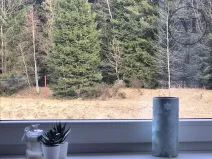 Prodej bytu 2+kk, Benešov nad Černou, 35 m2