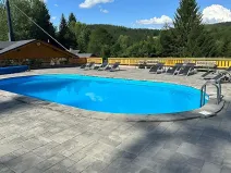 Prodej ubytování, Bartošovice v Orlických horách, 500 m2