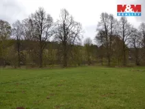 Prodej louky, Náchod - Běloves, 20495 m2