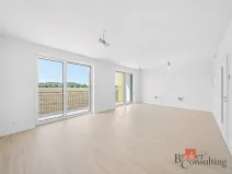 Prodej bytu 4+kk, Plzeň - Litice, 100 m2