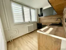 Prodej bytu 2+1, Ostrava - Hrabůvka, Františka Hajdy, 47 m2