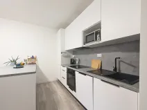 Pronájem bytu 3+kk, Mladá Boleslav, Žižkova, 90 m2