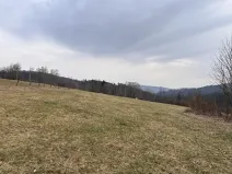 Prodej louky, Proseč pod Ještědem, 3510 m2