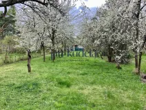 Pronájem zahrady, Brno, Terezy Novákové, 2336 m2