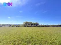 Prodej louky, Havířov, 12833 m2