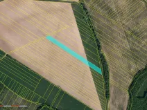 Prodej pole, Pašovice, 9923 m2