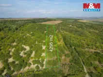 Prodej pole, Židlochovice, 4295 m2