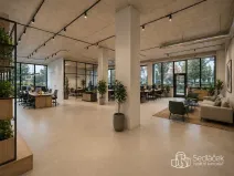 Pronájem obchodního prostoru, Sokolov, Boženy Němcové, 350 m2