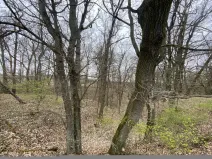 Prodej lesa, Silůvky, 462 m2