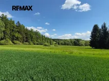 Prodej pozemku pro bydlení, Borová, 5776 m2