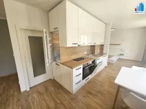 Pronájem bytu 1+kk, Plzeň, Strnadova, 54 m2