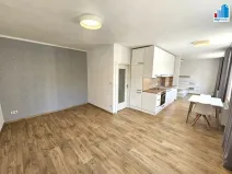 Pronájem bytu 1+kk, Plzeň, Strnadova, 54 m2