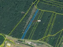 Dražba lesa, Jesenice, 4076 m2