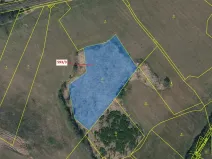 Dražba lesa, Počátky, 9119 m2