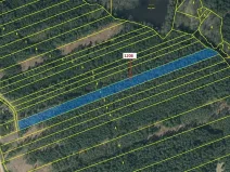 Dražba lesa, Chrbonín, 10189 m2